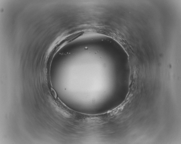 X0000070370150200606161326