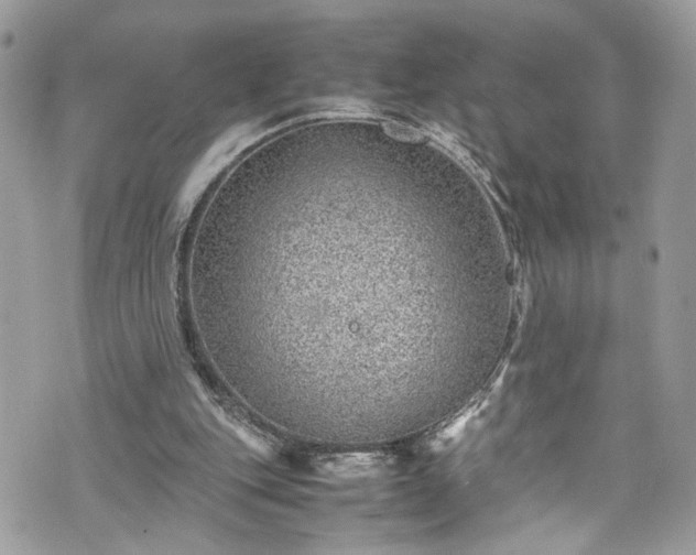 X0000070370151200606161326