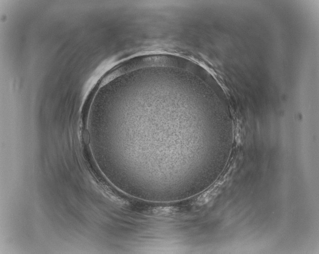 X0000070370152200606161326