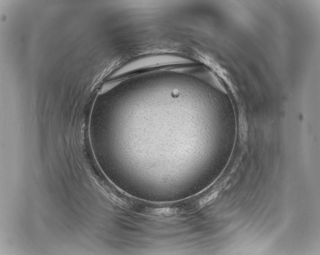 X0000070370153200606161326