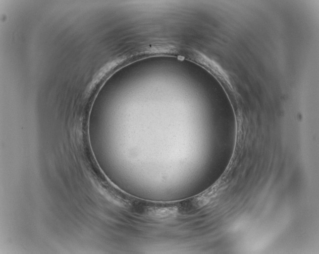 X0000070370155200606161326