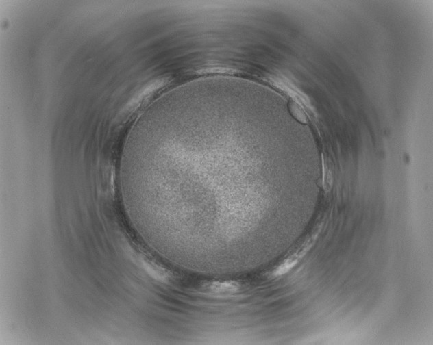 X0000070370157200606161326