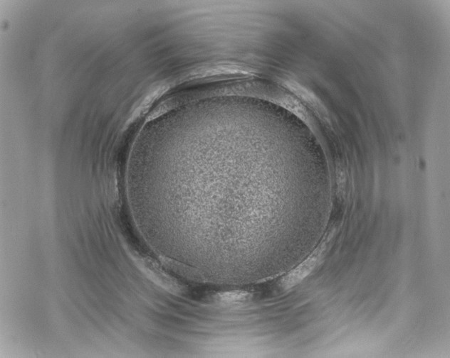 X0000070370158200606161326