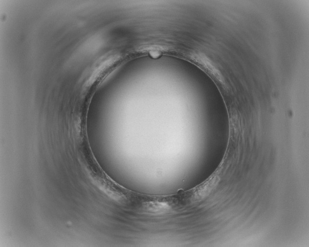 X0000070370159200606161326