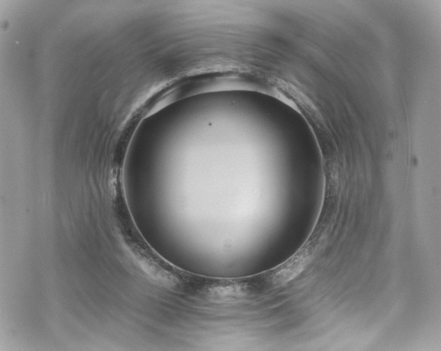 X0000070370160200606161326