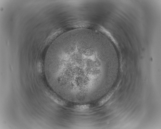 X0000070370161200606161326