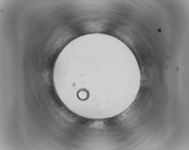 X0000070370162200606161326