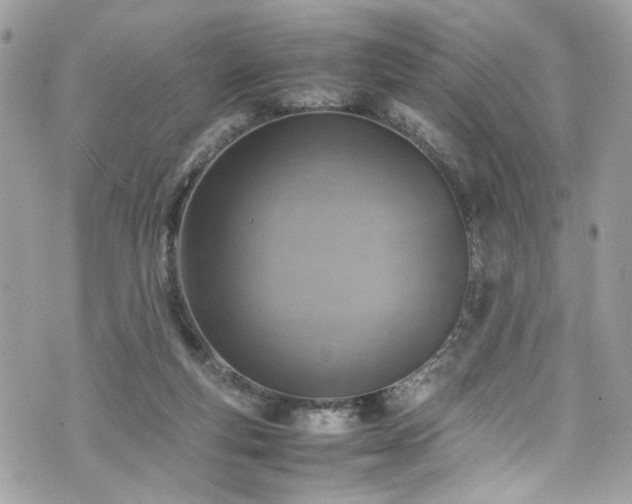 X0000070370163200606161326