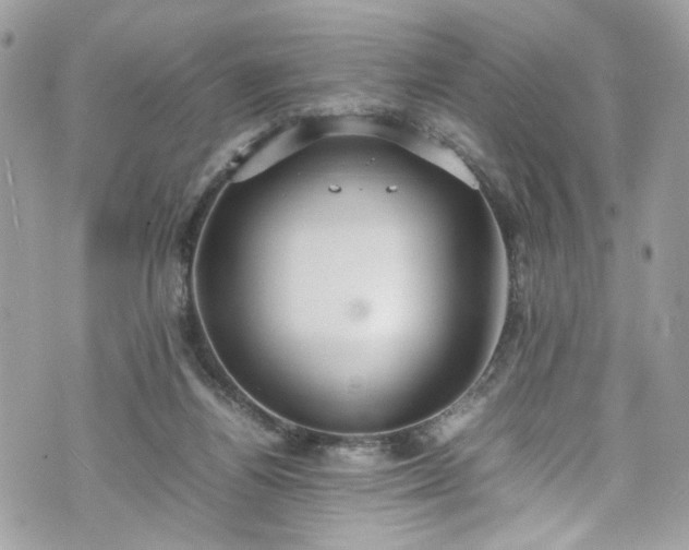 X0000070370164200606161326