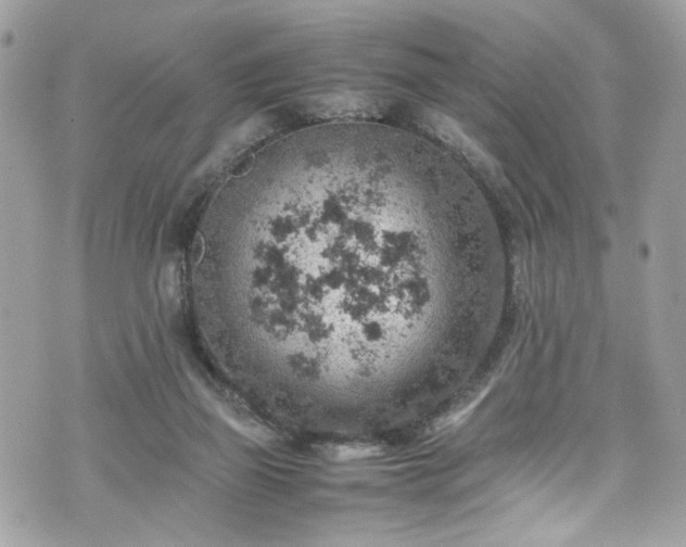 X0000070370165200606161326