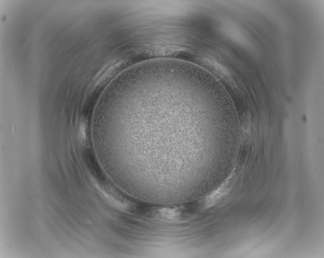 X0000070370166200606161326