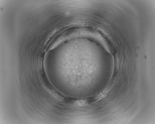 X0000070370168200606161326