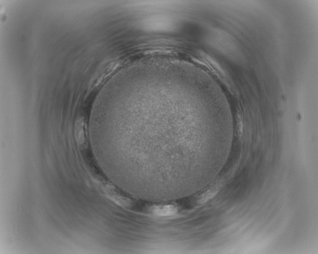 X0000070370169200606161326