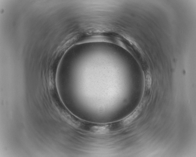 X0000070370170200606161326