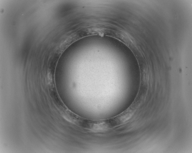 X0000070370173200606161326