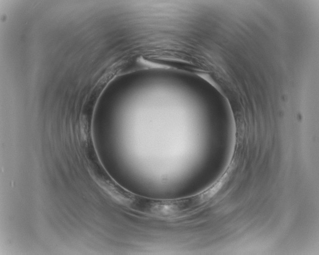 X0000070370174200606161326