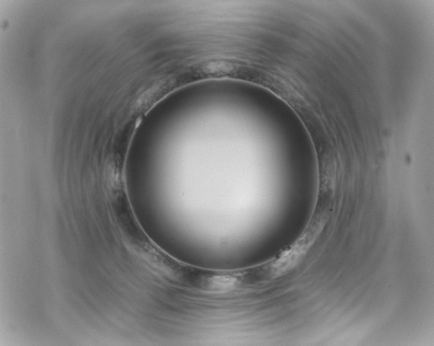 X0000070370176200606161326