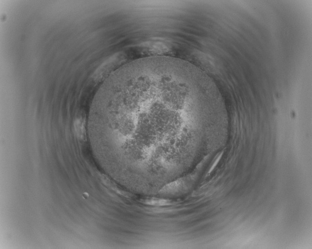 X0000070370177200606161326