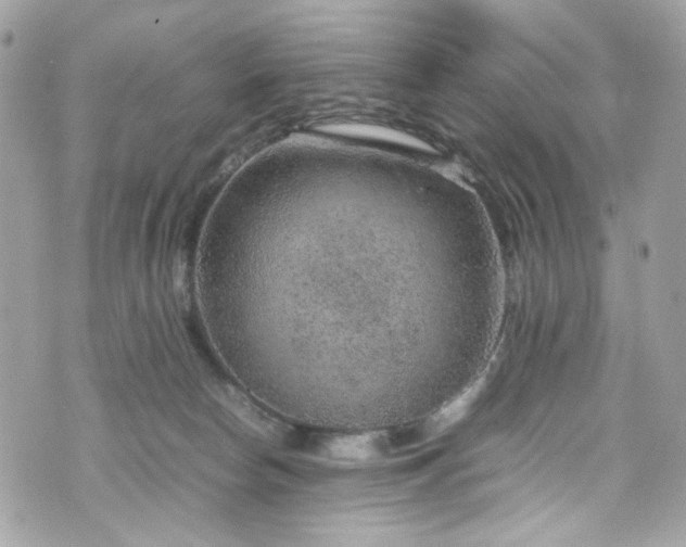 X0000070370178200606161326