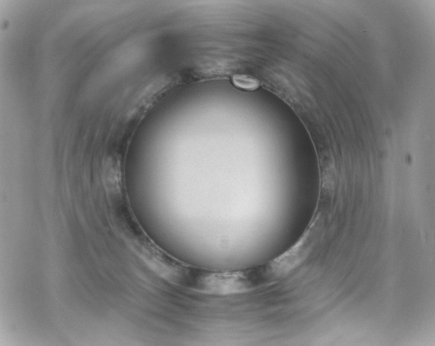 X0000070370179200606161326