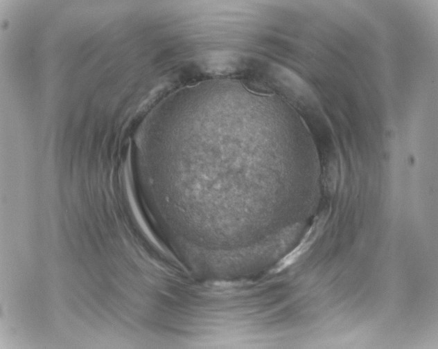 X0000070370180200606161326