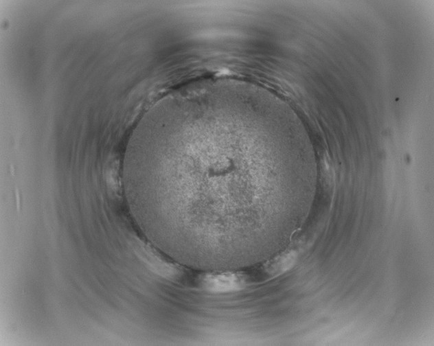 X0000070370181200606161326