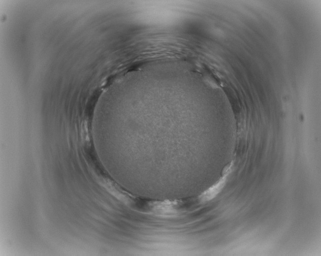 X0000070370182200606161327