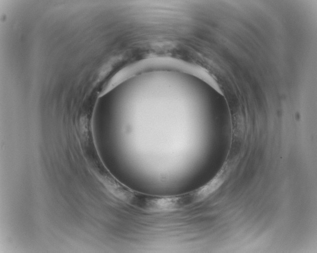 X0000070370184200606161327