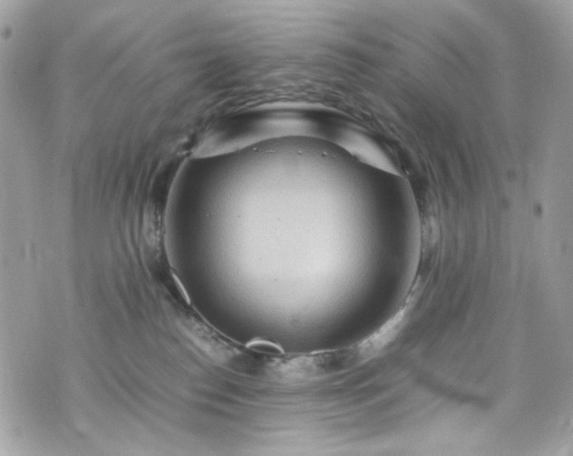 X0000070370186200606161327