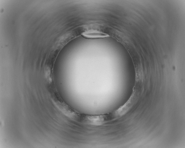 X0000070370187200606161327