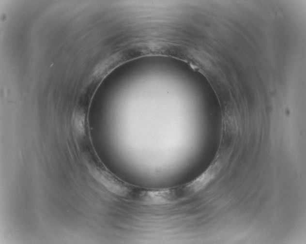 X0000070370188200606161327