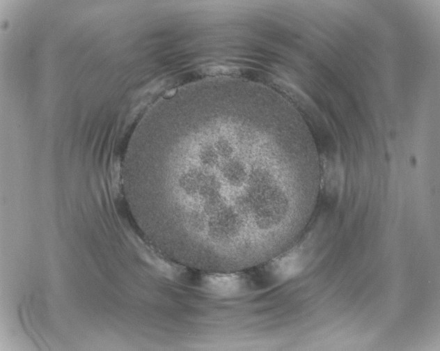 X0000070370189200606161327