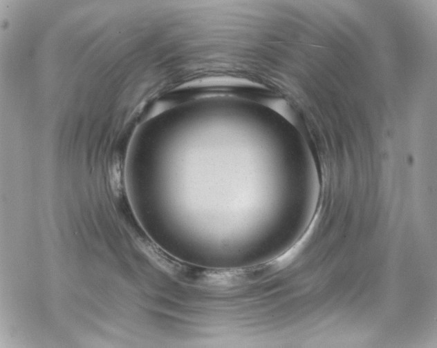 X0000070370190200606161327