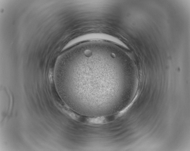 X0000070370191200606161327