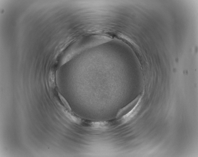 X0000070370192200606161327