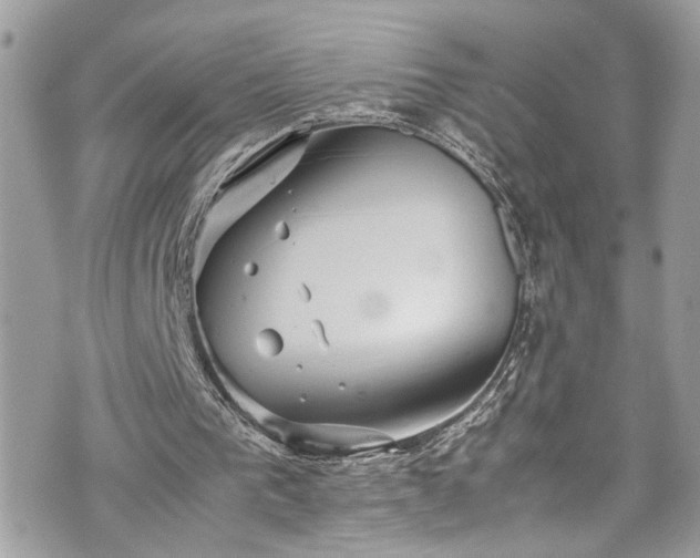 X0000070370193200606161326