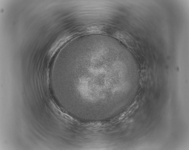 X0000070370194200606161326