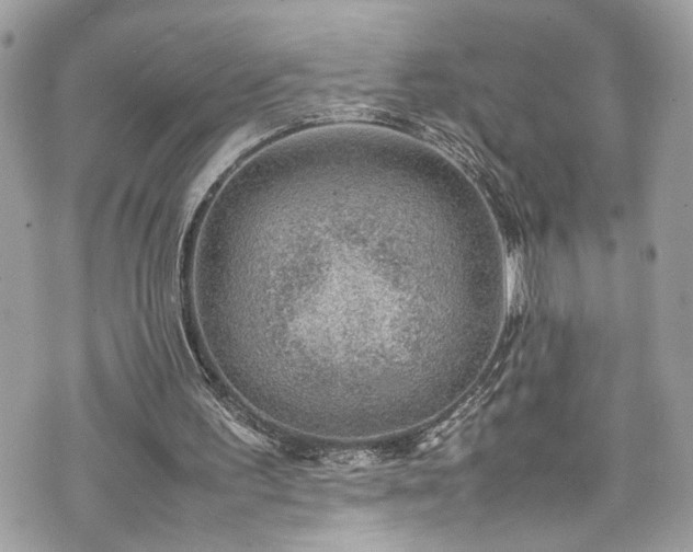 X0000070370195200606161326