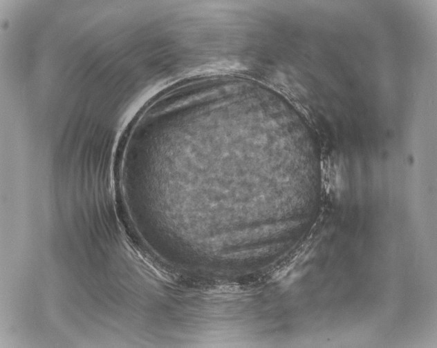 X0000070370196200606161326