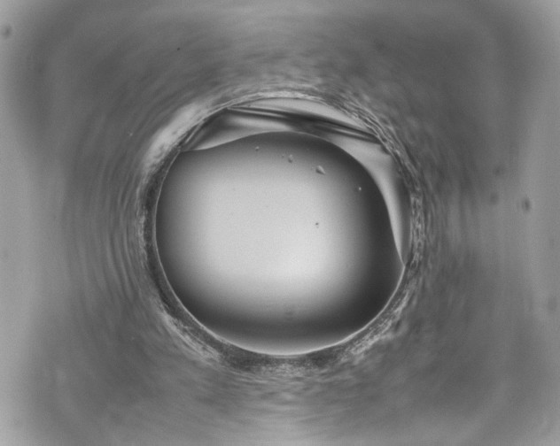 X0000070370197200606161326