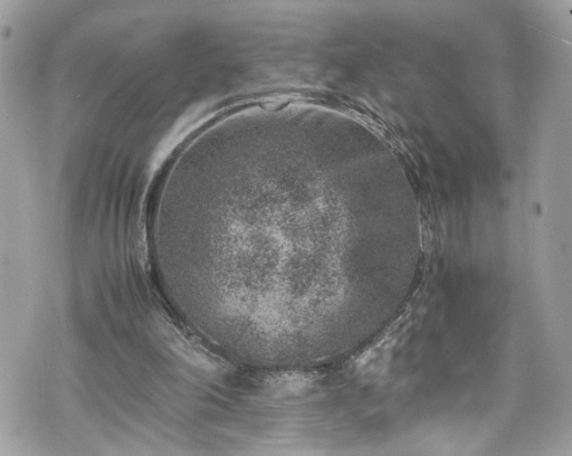 X0000070370198200606161326