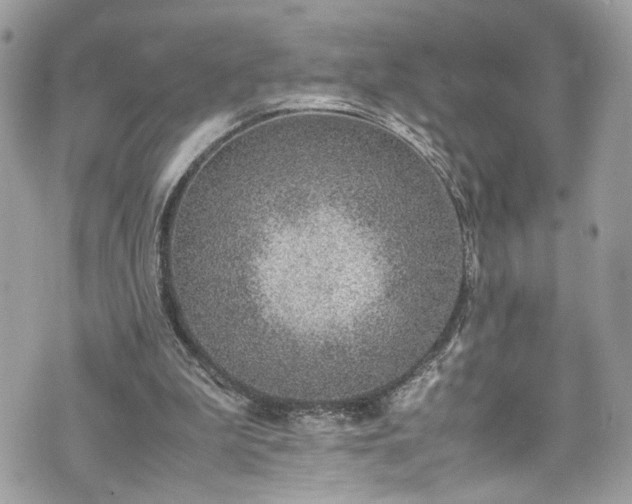 X0000070370199200606161326