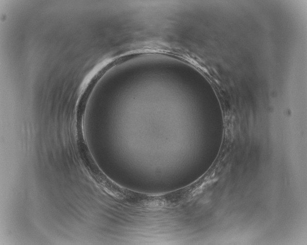 X0000070370200200606161326