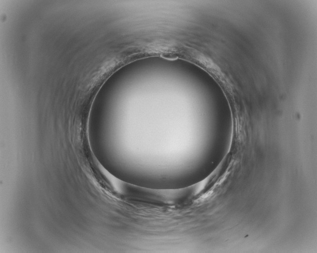 X0000070370201200606161326