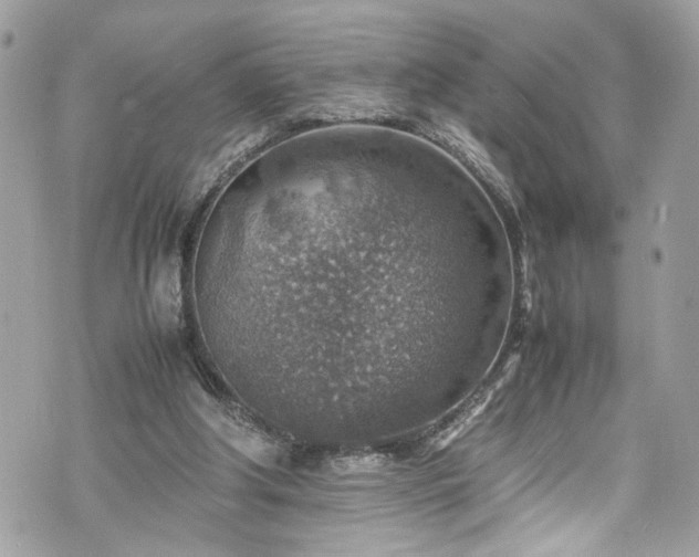 X0000070370202200606161326