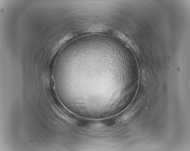 X0000070370203200606161326