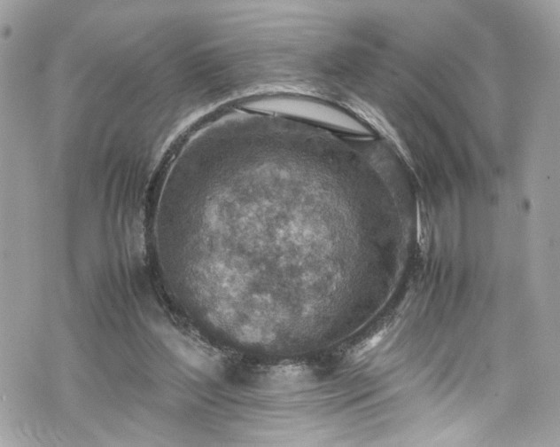 X0000070370204200606161326