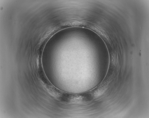 X0000070370206200606161326