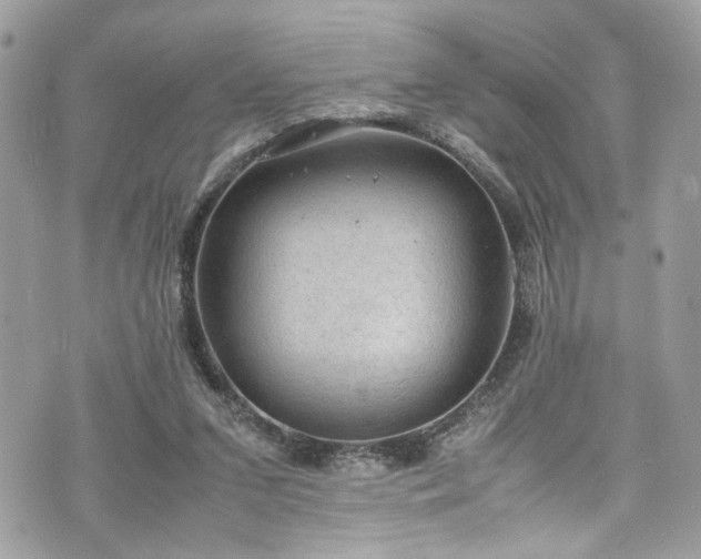 X0000070370207200606161326