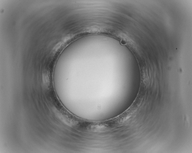 X0000070370208200606161326